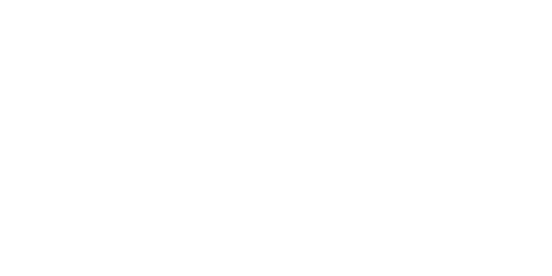 Школа Андронова